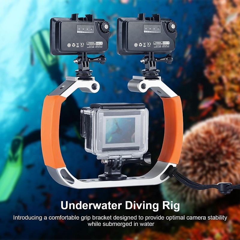 Selens Diving Rig Handheld Vid - đánh giá và giá Photography Lighting Rig
