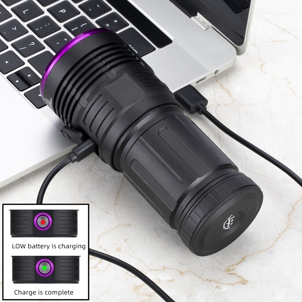 80W 365nm UV Flashlight Ultrav - đánh giá và giá Photography Lighting For Food