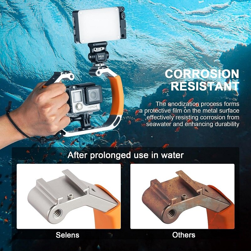 Selens Waterproof Diving Rig H - đánh giá và giá Photography Lighting Rig