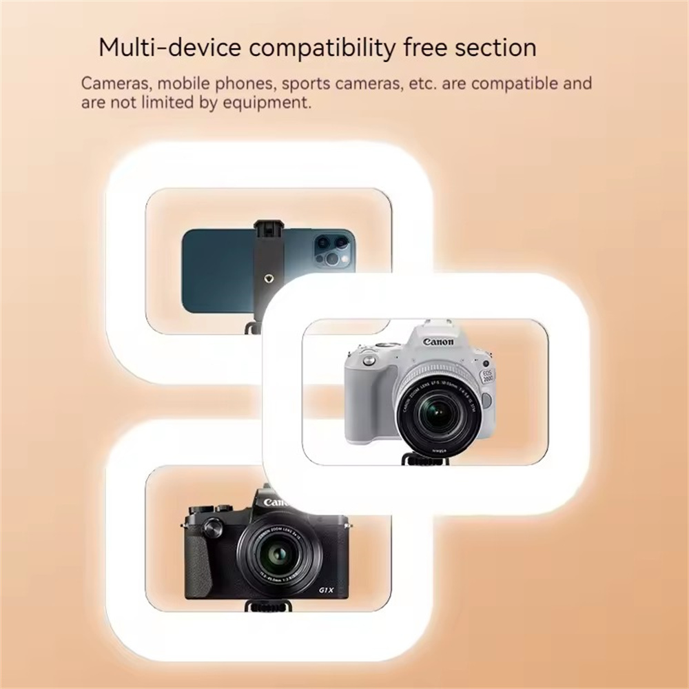 Roreta Smartphone Video Rig Ul - đánh giá và giá Photography Lighting Rig